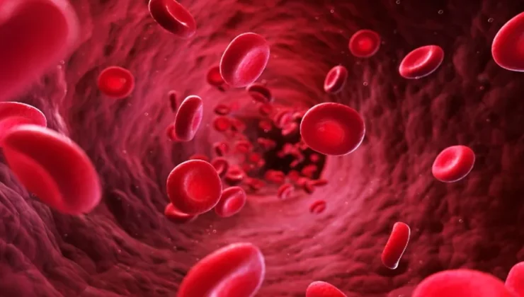Plasma Protein Binding Assay